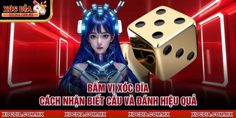 Bấm Vị Xóc Đĩa – Cách Nhận Biết Cầu Và Đánh Hiệu Quả