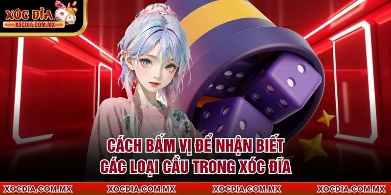 Cách bấm vị để nhận biết các loại cầu trong xóc đĩa